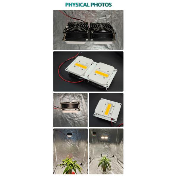 Light Bar Module COB Plant Light with Built-in Fan Cooling System for Home Gardeners and Greenhouse Growers