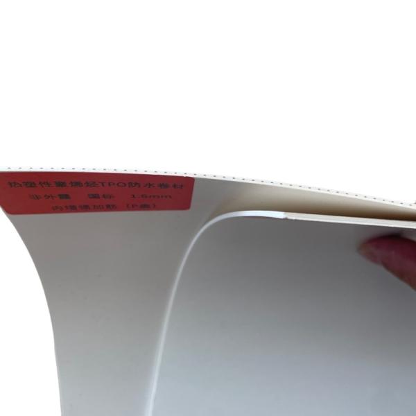 Roofing TPO Waterproof Membrane 1.5mm Polyester Reinforced Type