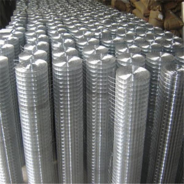Electro Galvanized Welded Wire Mesh Panel with 1.6mm Wire Diameter and Custom Size Options