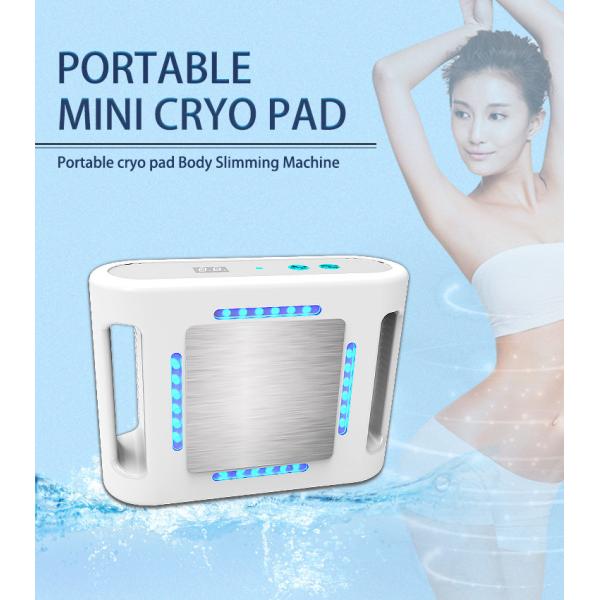 LF-251 Portable Mini Cryo Frozen Fat Machine Mini Cryotherapy Pad Frozen Freeze Slimming Cool Fat Machine