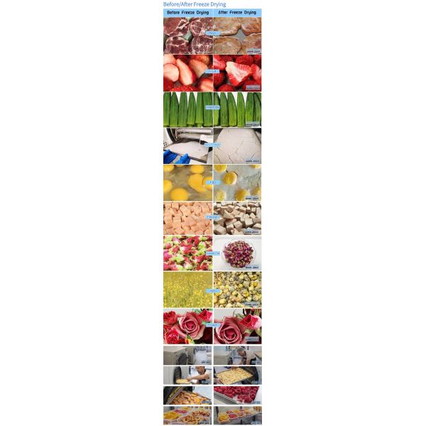 220V Countertop Freeze Dryer 4Kg Food Freeze Dryer For Home Use HM400
