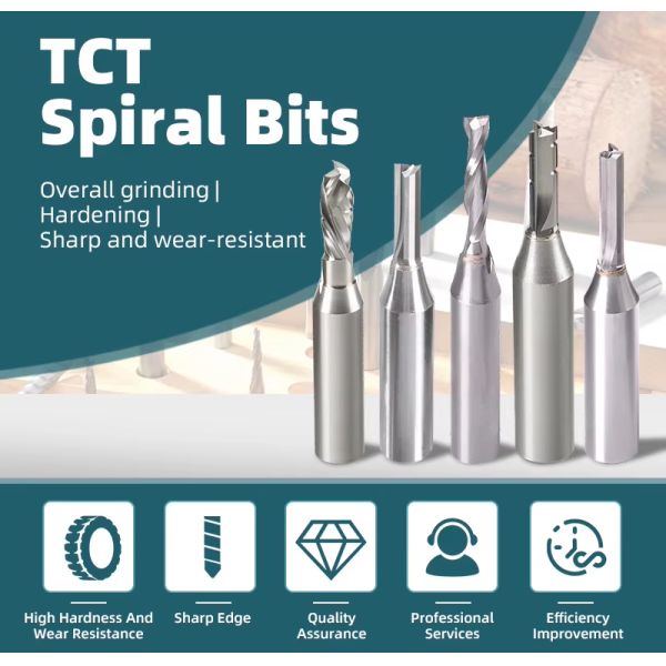 TCT 2/3 Flute Straight Bit Tungsten Carbide Milling Cutter Without Teeth Solid Carbide