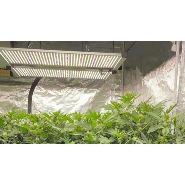 доска инфракрасн Сеула UVA Кванта 630W Samsung LM301H Osram приведенная вырасти света
