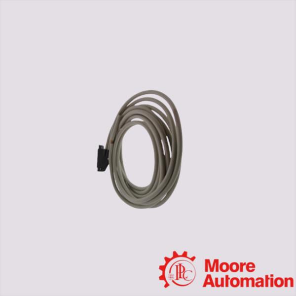 BMXFCW303 Schneider Cord Set