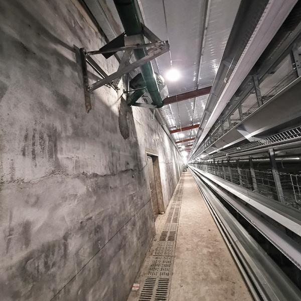 Коммерчески поднимать цыпленка клетки птицы бройлера 4 слоев