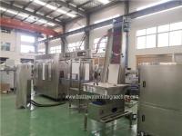 Plantas anaranjadas automáticas del equipo de la máquina de Juice Flavoured Juice Drink Making