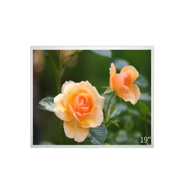19 Inch TFT LCD Screen Panel Industrial LVDS Displays 1280x1024 Resolution