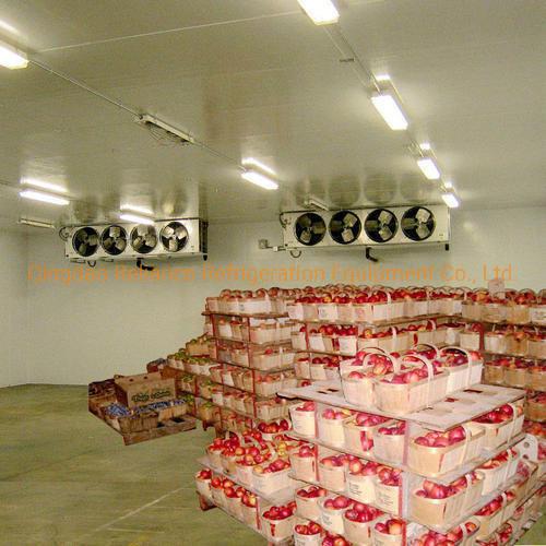 Petite salle de stockage à froid pour les produits laitiers et les boissons alimentés par un réfrigérant au freon