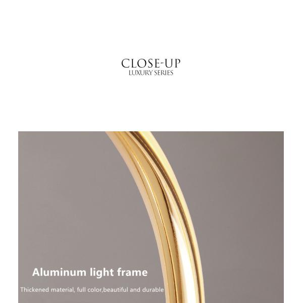 Modern luxury chandeliers Design Home Living Room  Dining Room golden chandeliers(WH-MI-394)