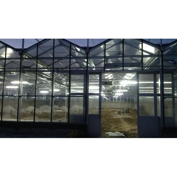 High Strength Agricultural Poly Tunnel Green House/Tomato Greenhouse