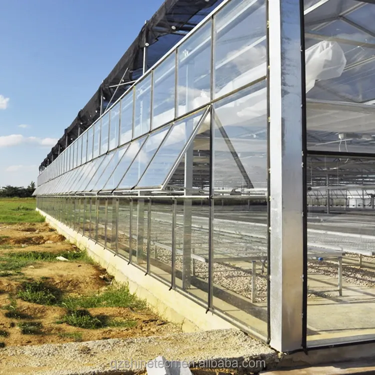 Shine Tech Automated Greenhouse Glass House Instruction Super Strong Resistance