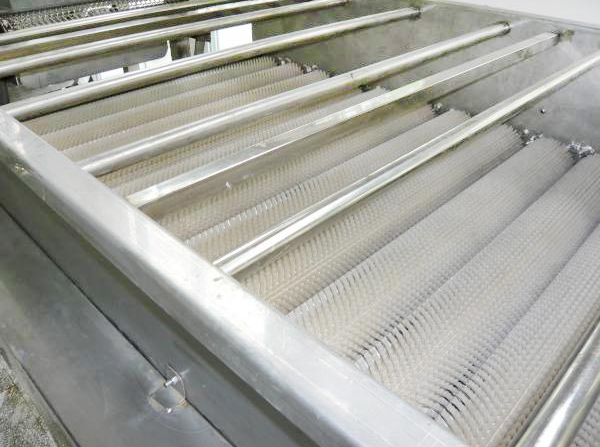 Customized Fruit Canning Equipment Canned Strawberry Production Machine