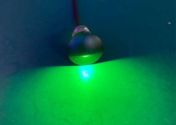 Low Voltage 1W 12V Green Marine Boat Courtesy Lights 150 Degree Beam