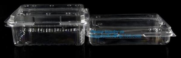Disposable custom blister PET food packaging plastic container cookie biscuit tray,PET blister packaging compartment hin