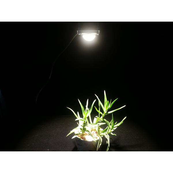 50w 780nm Hydroponics Led Grow Lights Diy Cabinet For Indoor Plants 3500K 380nm