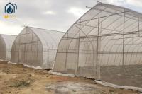 Commercial Large Agricultural Greenhouse UV Film Vegetable Hydroponic Greenhouse