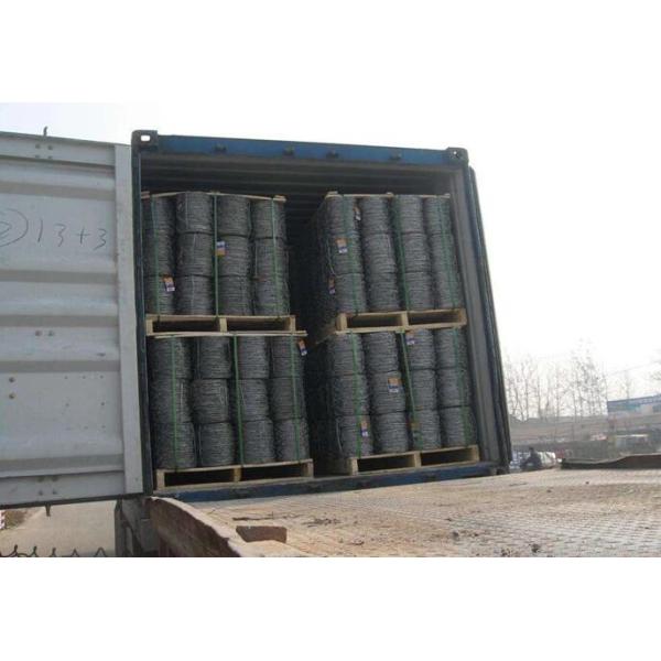 Электрическое БТО -22 гальванизированное/ПВК покрыло провод 2мм колючий ограждая