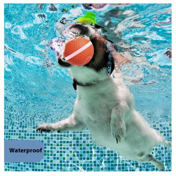 2025 Rechargeable Eco-Friendly Silicone LED Flash Light Cute Automatic Rolling Ball Motion Activated Interactive Movement Toy