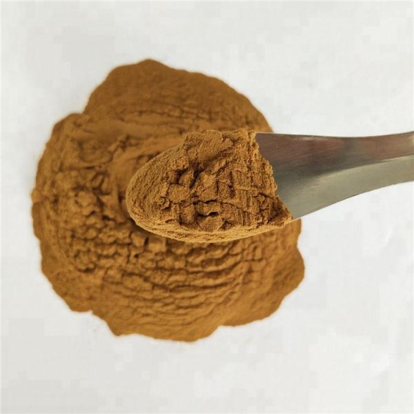 Factory Supply 4% Professional Herbalists Passionfiowe Herb/Passiflora coerulea L. Extract Powder for the health product
