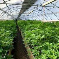 Customizable Size Light Deprivation Greenhouse with UV-Resistant Polyethylene Film and 5-Year Warranty