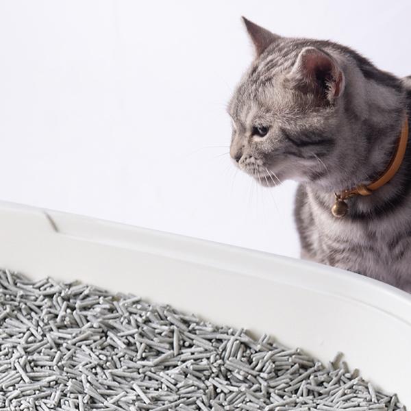 Starhong Litter de chat au carbone actif 1,5 mm exempt de poussière