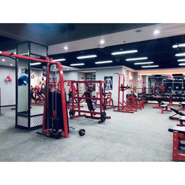 Befreeman Wholesale Hot Sale High Quality Gym Equipment Half Squat Rack
