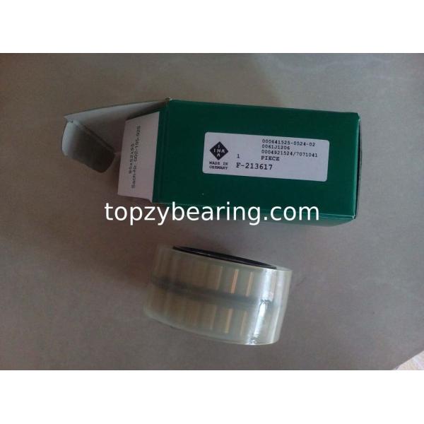 F213617 Full Complement Bearing Cylindrical Roller Bearing F-213617.RNN Gearbox Bearing Size 55x77.07x41mm