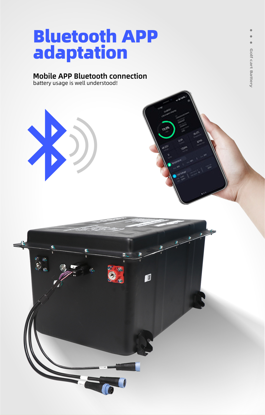 Golf Cart Lithium Battery 51.2v 105Ah Capacity Built-in BMS Protection Fast Charging Stable Output