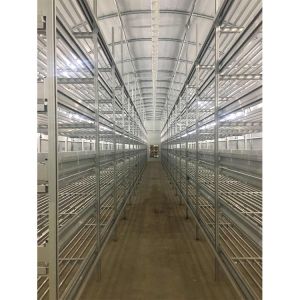IGreen Greenhouse Tunnel Mushroom Green House With Galvanized Steel Frame Other