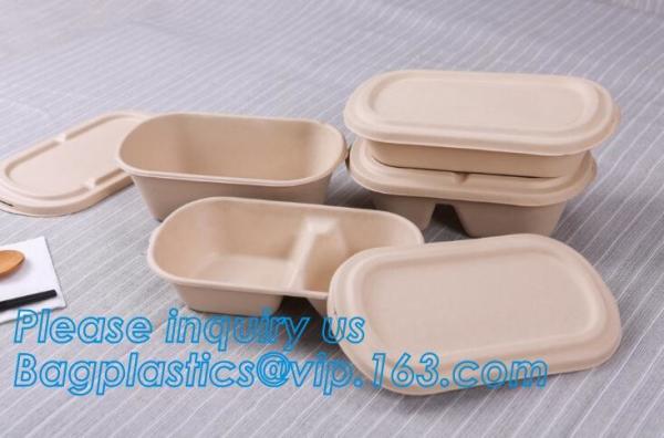 biodegradable sugarcane food container 6inch 450ml to-go burger box,Eco-friendly Biodegradable Corn Starch Food Containe
