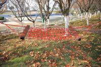 Cama al aire libre de madera 25kg del oscilación de la hamaca del patio para los niños