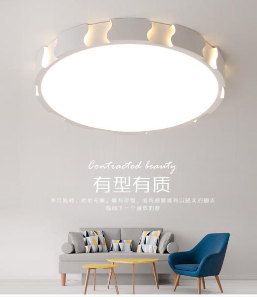 2018 new fashion simple modern indoor ceiling lamp