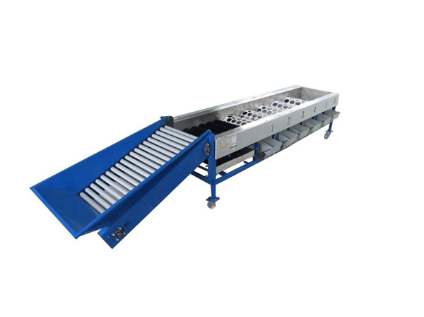 lemon cleaning drying waxing grading machine, lemon sorting machine