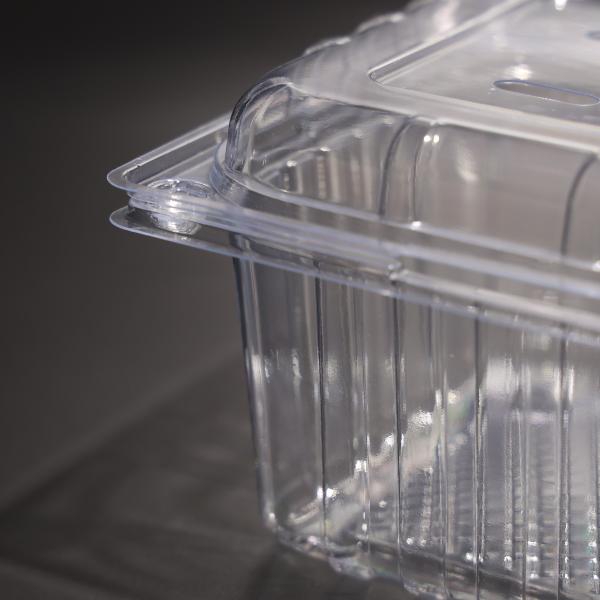 Customizable Size Clear Plastic Food Container PET Food Packaging Containers