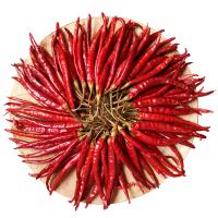 Chilli aux yeux d'oiseau séché riche en calcium pour des créations culinaires audacieuses et épicées