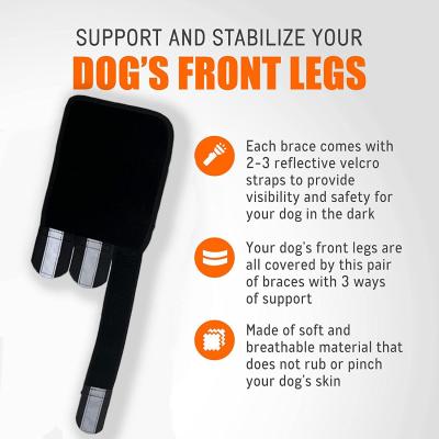 Pets Front Back Legs 