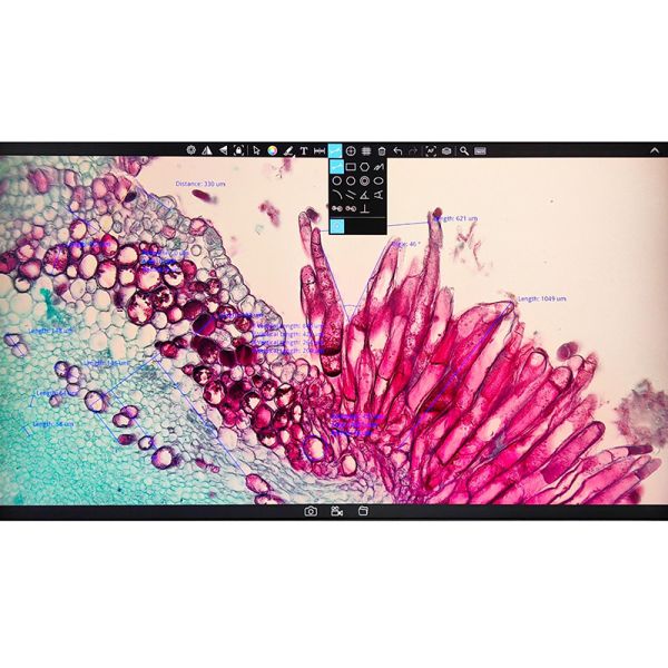 OPTO-EDU A59.4971 Auto Focus EDF 4K HDMI USB LAN Digital Microscope Camera 8.3M Flourescent