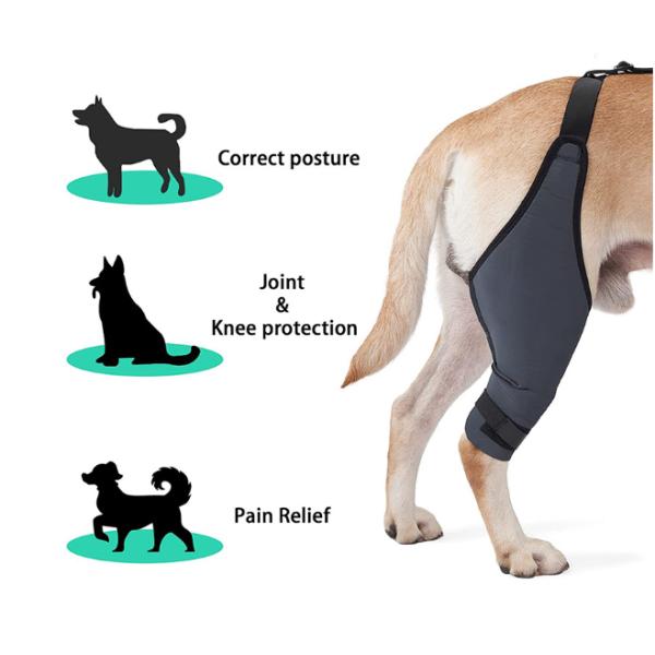 Расчалка ноги собаки вибрации анти- протектора скакательного сустава собаки разрыва анти- для травмы ACL