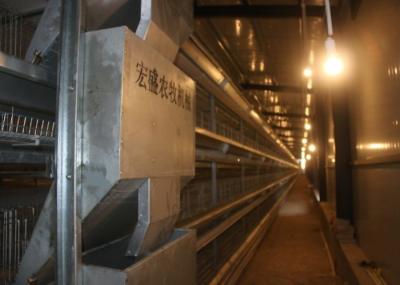 High Efficiency Modern Poultry Cages Easy To Operate  Q235 Steel Wire Material