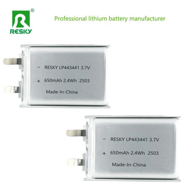 Lithium Ion Battery Cell 3.7V 650mAh Rechargeable Li-polymer Battery for Smart Doorbells