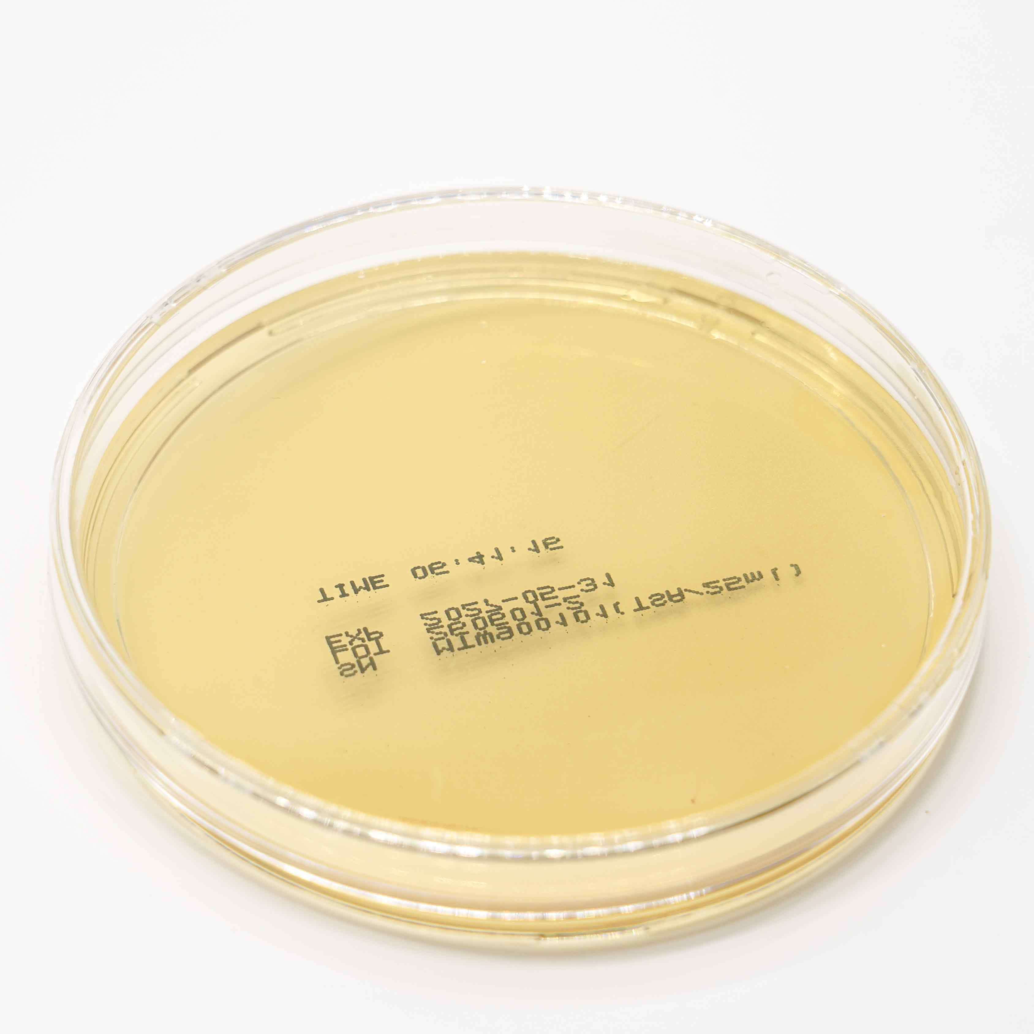 Tryptic Soy Agar TSA Sterile Culture Media Plate For Pharmaceutical Microbiology Testing