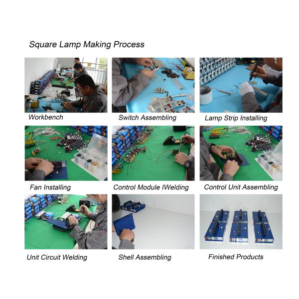 Langfang Danmei security equipment Co., Ltd.