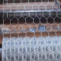 Réseau hexagonal galvanisé pour la volaille
