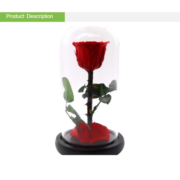 Decoración delicada preservada de la bóveda de cristal roja de Rose In A para casero/interior