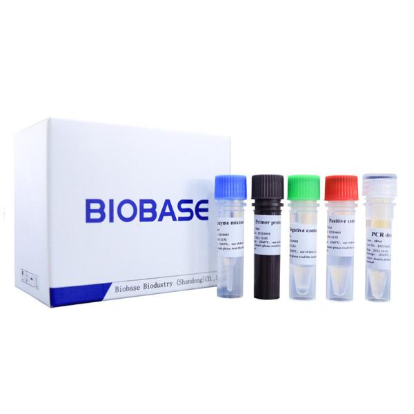 Hot Sale 2019-Novel Coronavirus Real-time PCR Test Kits 48T/kit PCR