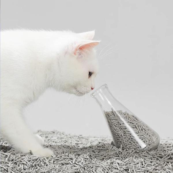 Starhong 1,5 mm Litter de chat au carbone actif sans poussière