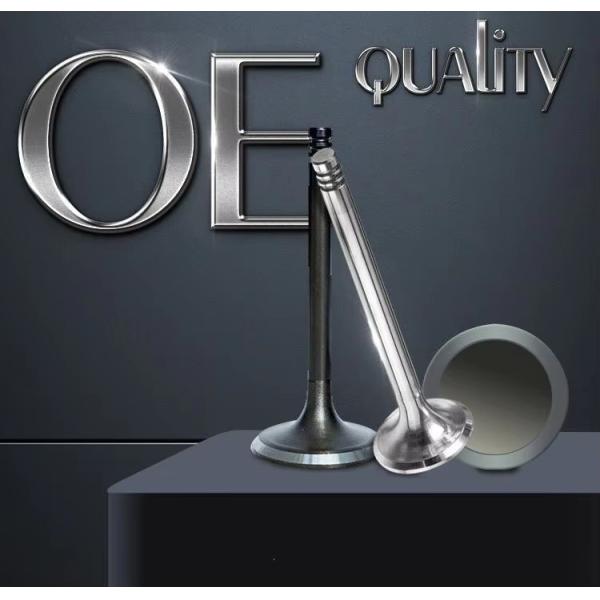 Toyota Inlet And Exhaust Valve Wear Resistant For 2L Engine 1371154020 1371554040