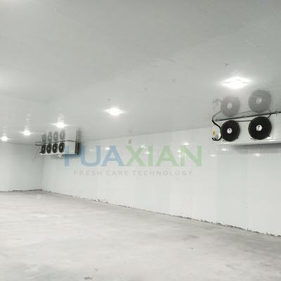 Water Cooling Compressor Refrigeration Freezer -20 Fish Cold Storage Room
