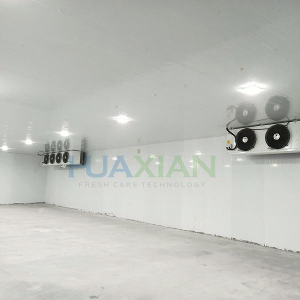 500 Sqm China Industrial Food Storage Walk in Freezer Refrigeration Room