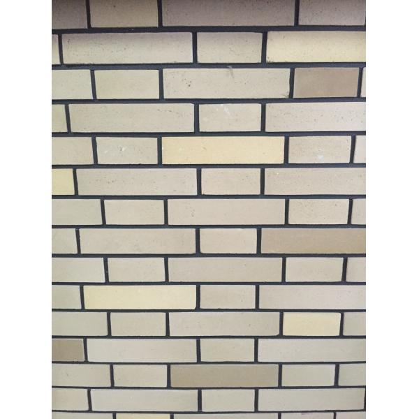 Building Wall Cladding Mixed Color Split Brick Veneer Wall Panels Different Sizes